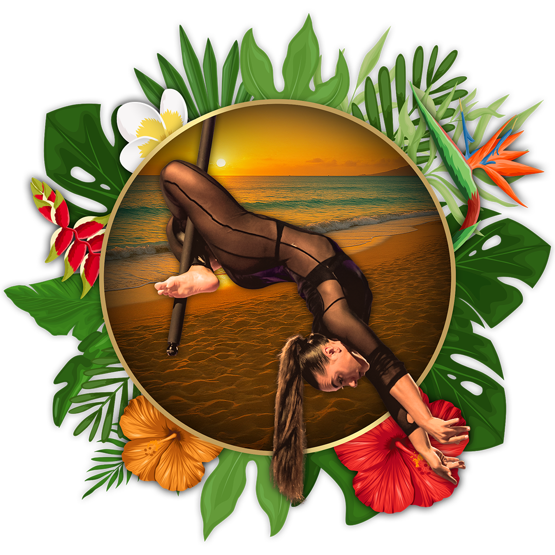Anna Dobryn<br><small>Spinning & Flying Pole </small>